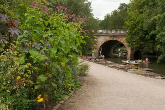 Riverbank at the Botanic Gardens