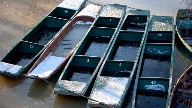 Punts on the river