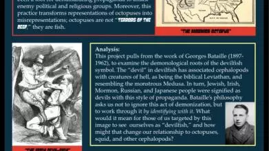 scott maybell poster