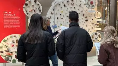 Young people at the museum