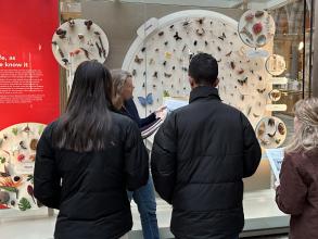 Young people at the museum