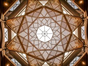 Schwarzman Centre interior roof